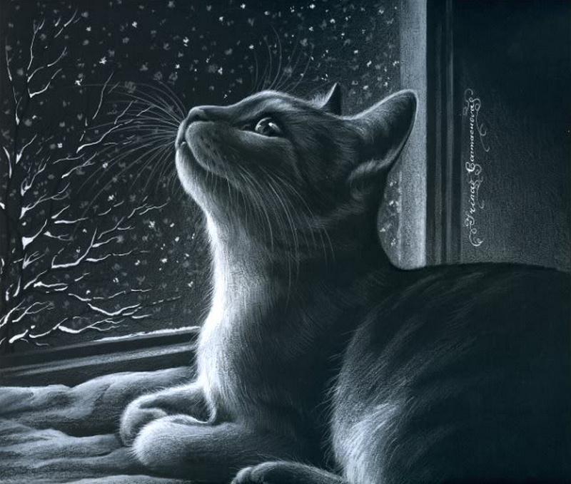 Нарисовать кошку на окне