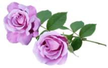 flower_115 (214x136, 46Kb)